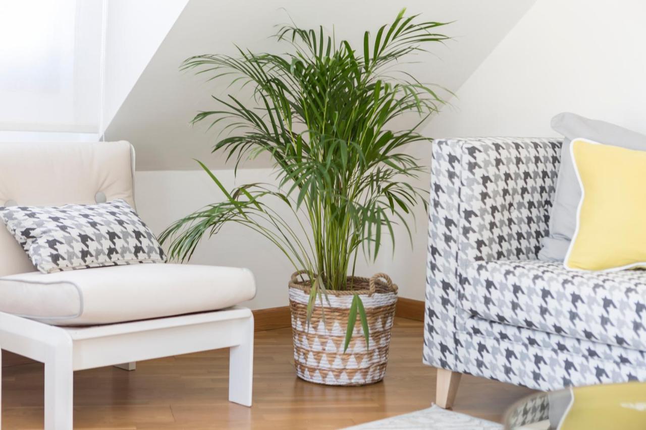 Apartamento Boutique Con Terraza Y Vistas Al Mar. Porto Vilanova Villanueva De Arosa Exteriér fotografie